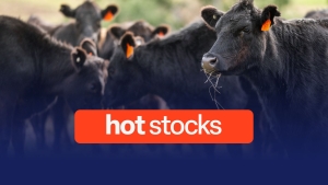 Hot Stocks: WiseTech, Elders, Genesis